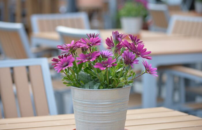 5_idées_créatives_pour_aménager_votre_terrasse_en_bois