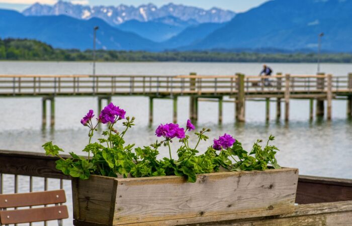 5_méthodes_naturelles_pour_nettoyer_votre_terrasse_en_bois