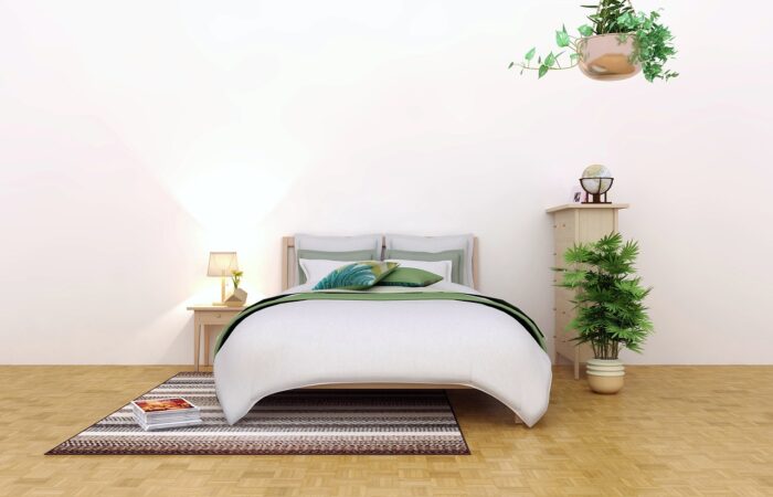 5_plantes_idéales_pour_embellir_votre_chambre_